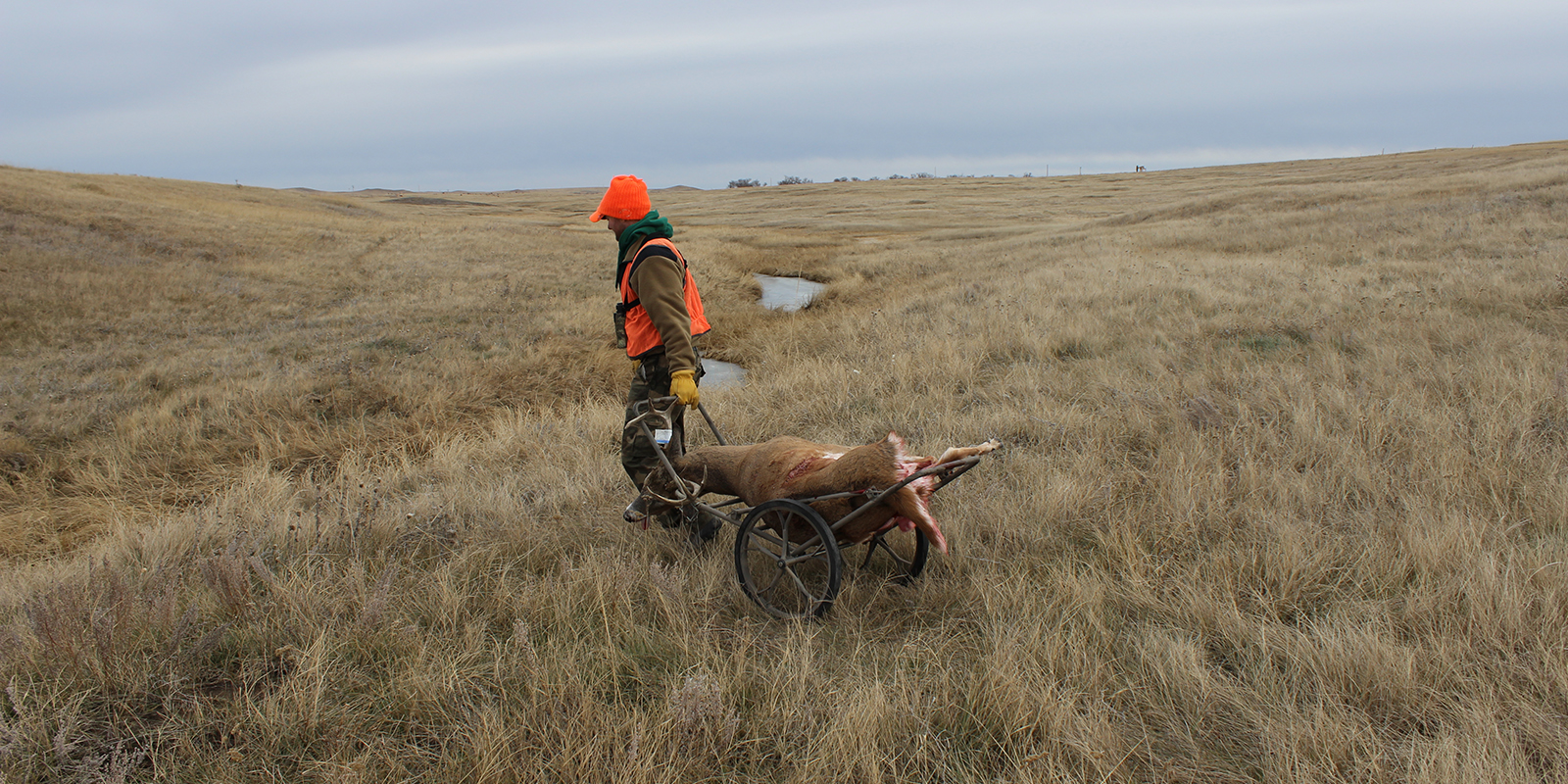 Fowler Carrying Buck